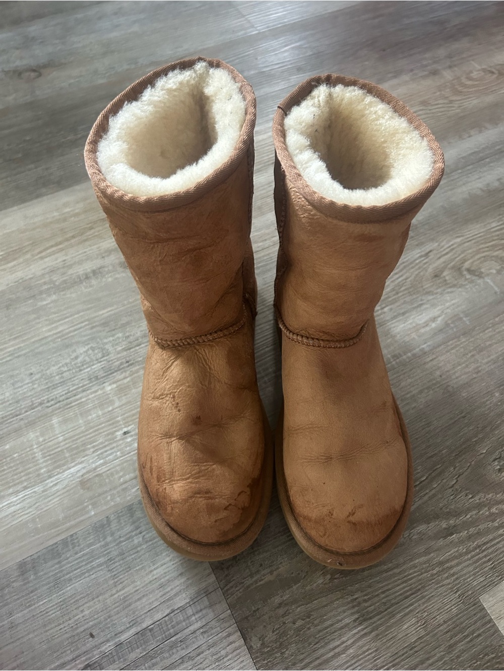 Classic Women's UGG Shearling-Lined Winter Boots - Chestnut